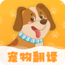 win11设置默认浏览器如何操作 win11设置默认浏览器方法介绍 